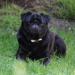 carlin Byron - Carlin