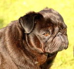 carlin Byron - Carlin