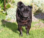 carlin Byron - Carlin