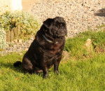 carlin Byron - Carlin