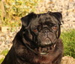 carlin Byron - Carlin