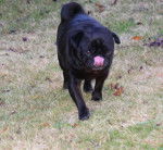 carlin Byron - Carlin