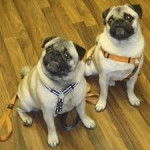 baby and princess - Carlin (Autre)