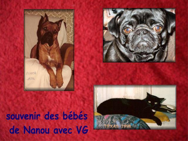 carlin - Van-Gogh - Carlin