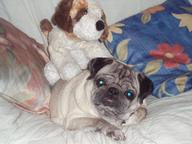 carlin,randy - Carlin