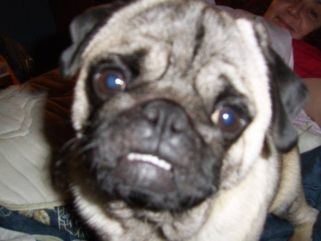 carlin- TYSON - - Carlin