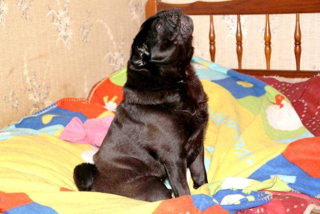 carlin Byron - Carlin