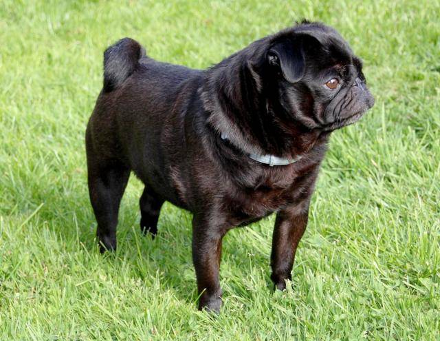 carlin byron - Carlin