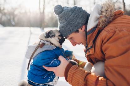 Un Carlin avec son propriétaire 