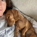 Un  Teckel allongé sur le torse d'une jeune fille