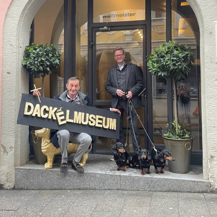 Trois Teckel tenus en laisse par un homme devant le musée de dachshunds a passau en allemagne