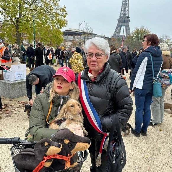 Un Teckel tenu par une femme à paris
