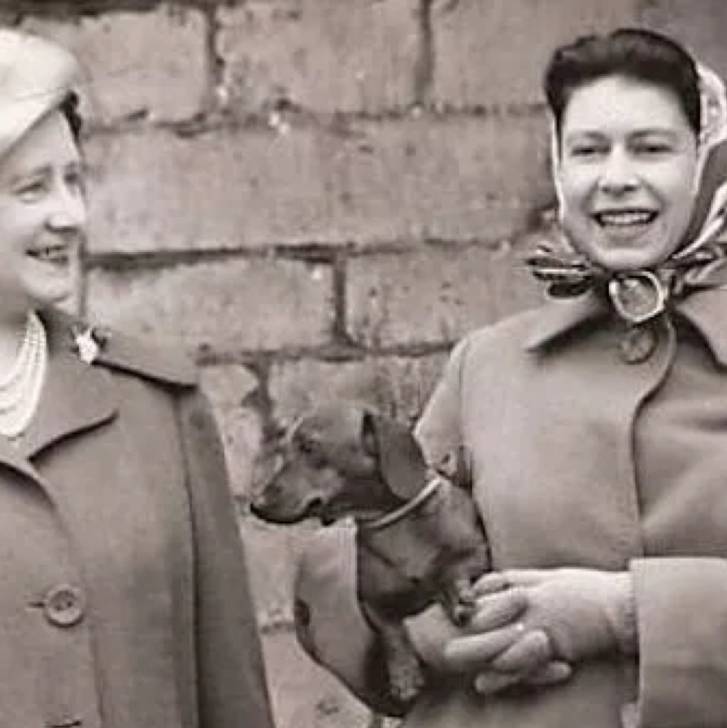 Un Teckel tenu par Sa Majesté la Reine Elizabeth II