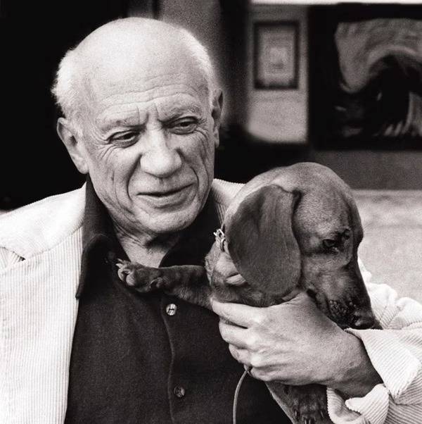 Un Teckel tenu par Pablo Picasso 