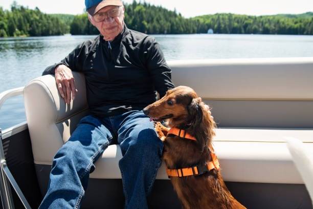 Un Teckel à bord d'un bateau côté de son maître sur le lac d'un parc Canadien