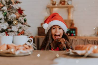 Un Teckel dans les bras d'une petite fille devant la table de salle à manger à Noel