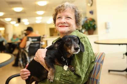 Un Teckel dans les bras d'une femme âgée