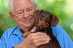 Un Teckel dans les bras d'un homme âgé 