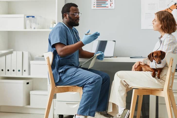 Un Teckel pendant un examen chez le vétérinaire