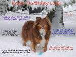 Happy Birthday Lady - Berger Australien (5 ans)