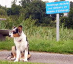 Handy - Berger Australien