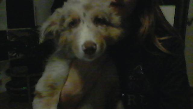 praline - Berger Australien