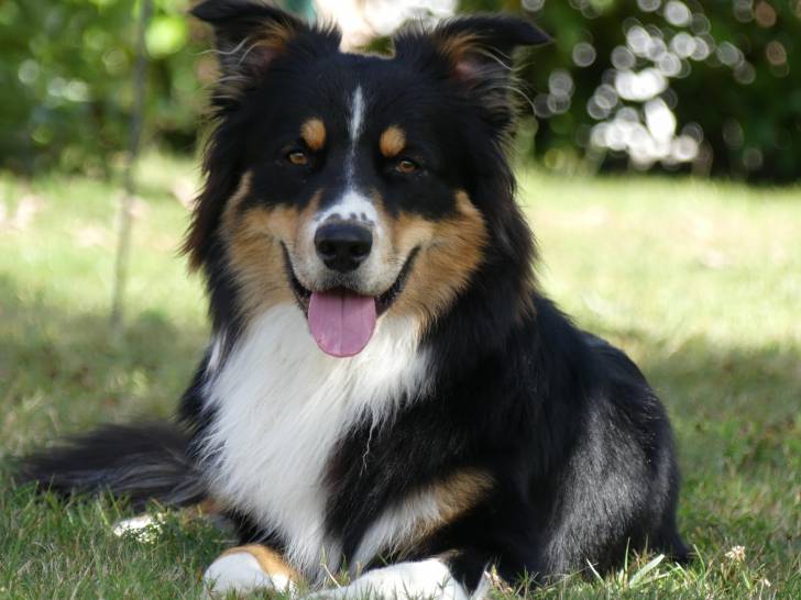 Photo Berger Australien