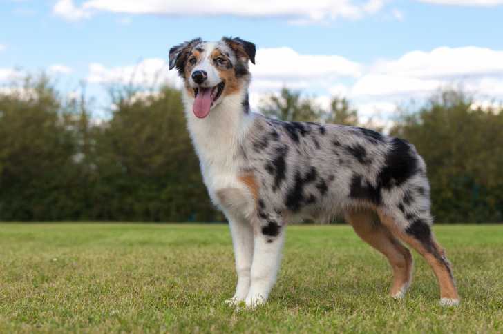 Photo Berger Australien