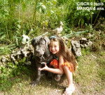 MATIN DE NAPLES - CISCA - Mâtin Napolitain