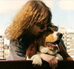 Urti adulte - Basset Hound (2 ans)