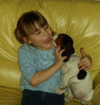 purdy - Basset Hound (6 ans)