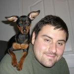 Pinscher nain "Stinger" - Pinscher Nain