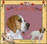 LE POINTER - Pointer