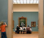 bouledogue fran&ccedil;ais pablo - Bouledogue Fran&ccedil;ais