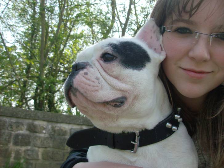 Casper - Bouledogue Français Mâle (3 ans)