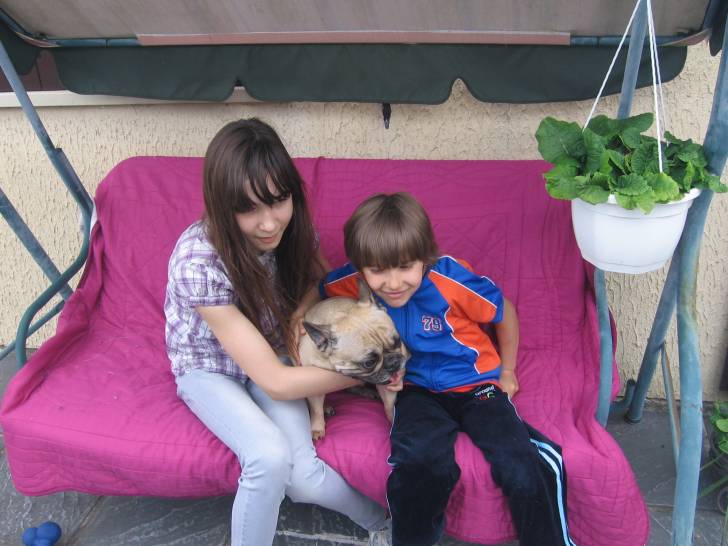 Moi, mon frère et ma chienne - Bouledogue Français (3 ans)