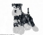 mon autre premiere colo - Schnauzer Moyen