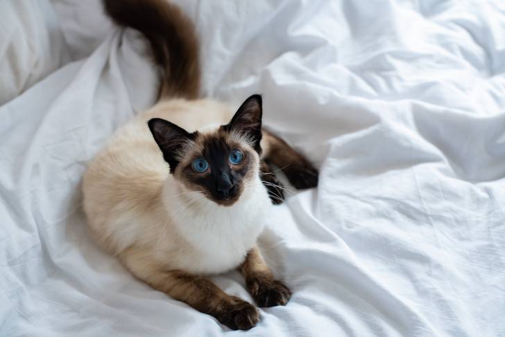 Un Balinais allongé sur le lit