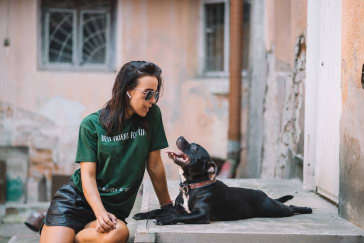 Un chiot Staffie avec sa propriétaire 