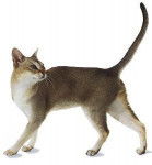 Singapura - Singapura