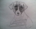 Dibujo echo por mi :D - Jack Russell