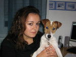 doowy mon jack russell - Jack Russell