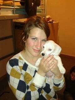 shadow - Jack Russell Mâle (6 mois)