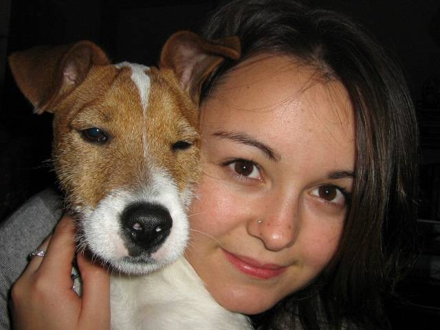 jack russell doowy - Jack Russell