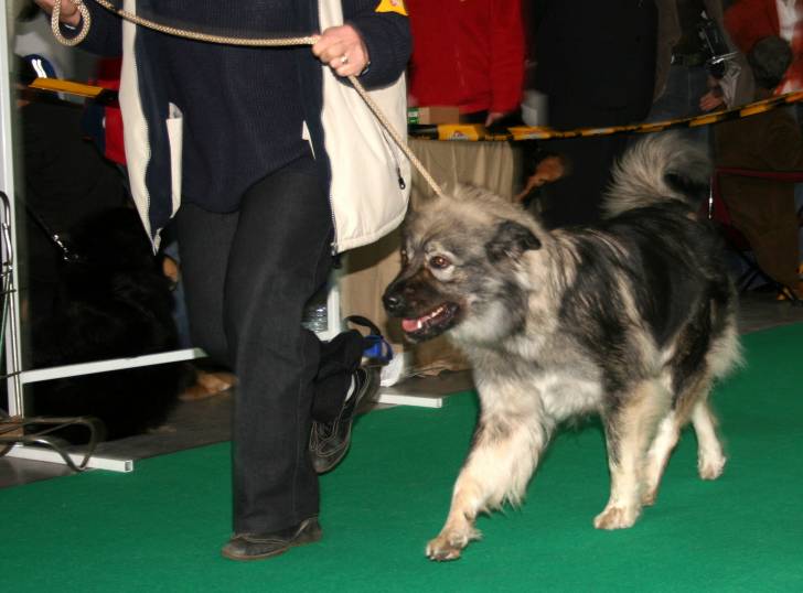 Photo Berger du Karst