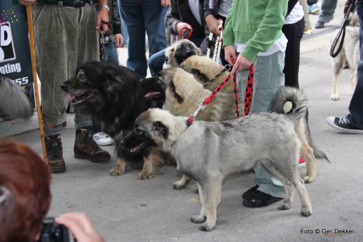 Photo Berger du Karst