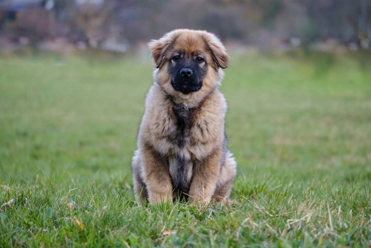 Photo Berger du Karst