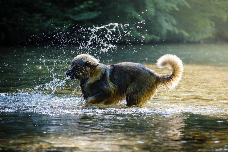 Photo Berger du Karst