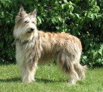 valise6 jun-BERGER PICARD - Berger Picard