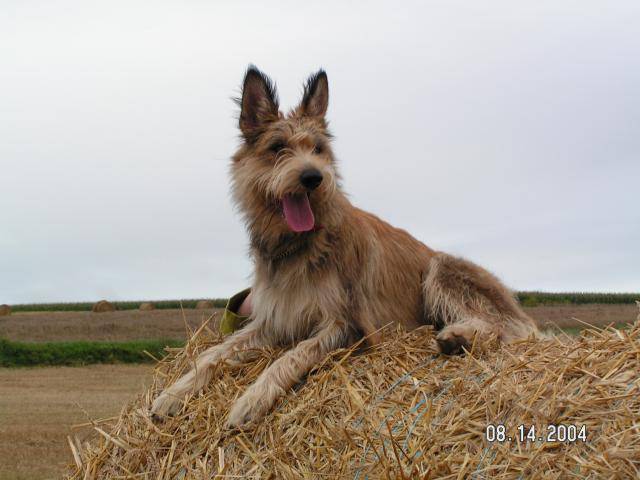 UT BERGER PICARD - Berger Picard